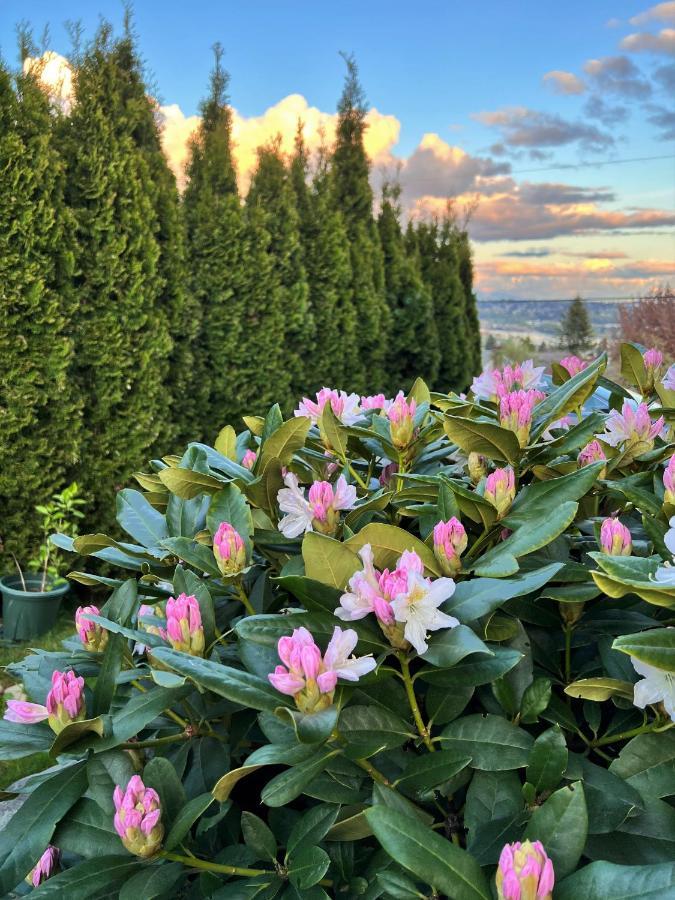 Lovely J Home -Stunning River View Cozy Two Bedroom Private Suite New Westminster Luaran gambar
